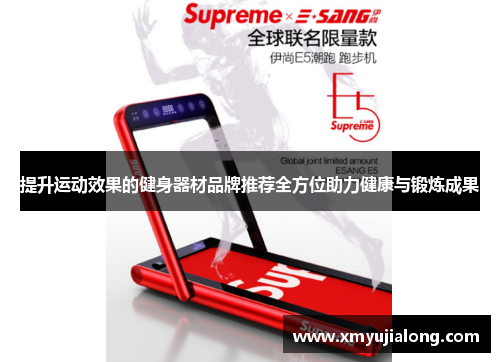 提升运动效果的健身器材品牌推荐全方位助力健康与锻炼成果