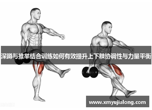 深蹲与推举结合训练如何有效提升上下肢协调性与力量平衡