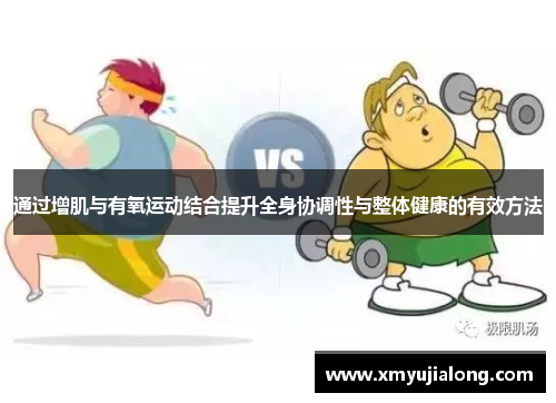 通过增肌与有氧运动结合提升全身协调性与整体健康的有效方法