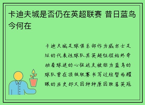 卡迪夫城是否仍在英超联赛 昔日蓝鸟今何在